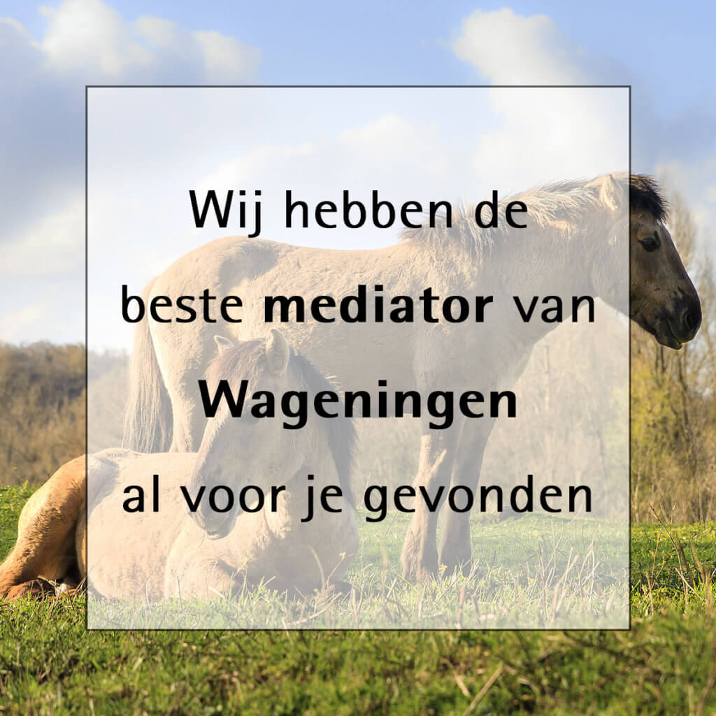 mediator wageningen echtscheiding