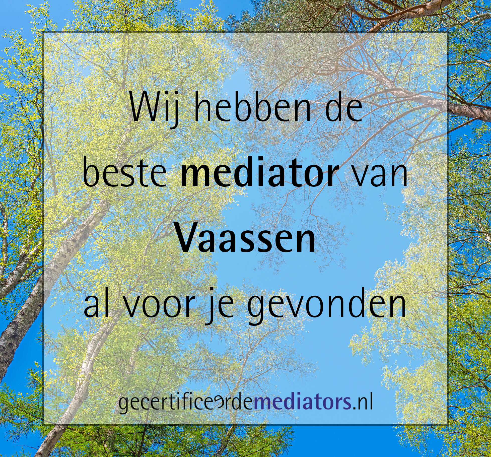 mediator vaassen echtscheiding
