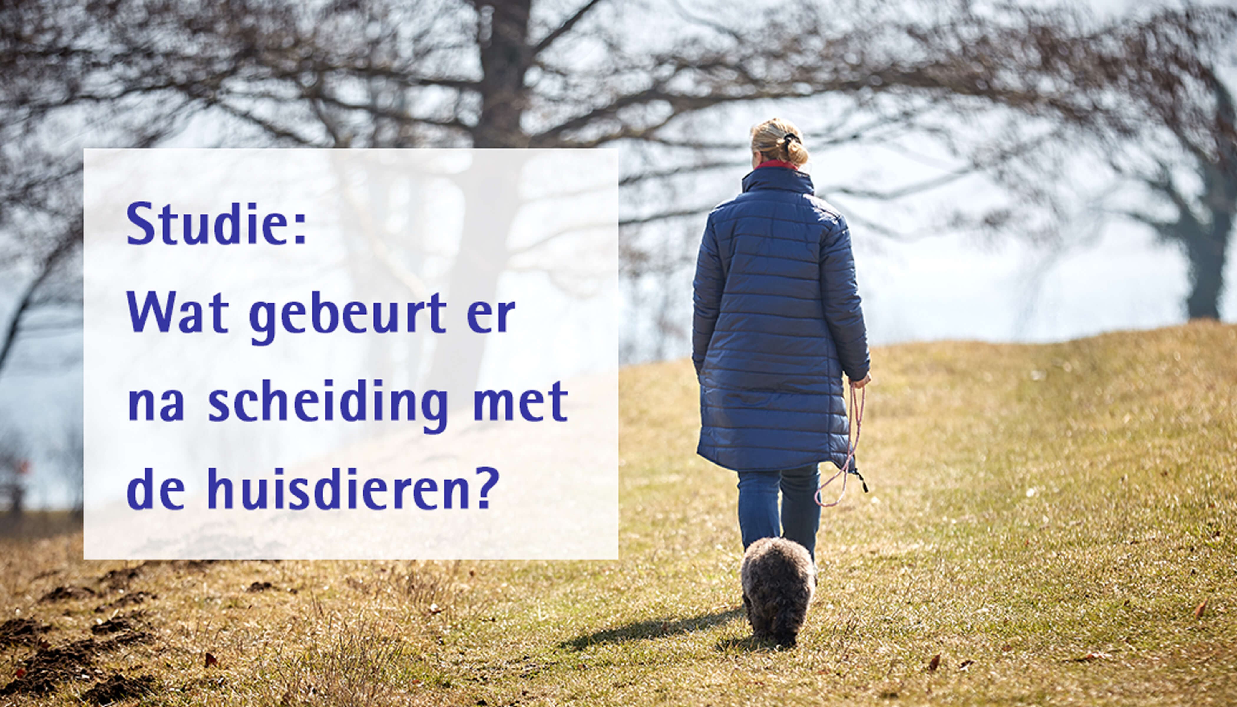 Studie: wat gebeurt er na scheiding met de huisdieren?