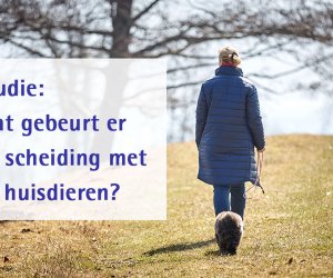 Studie: wat gebeurt er na scheiding met de huisdieren?