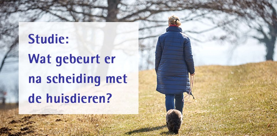 Studie: wat gebeurt er na scheiding met de huisdieren?